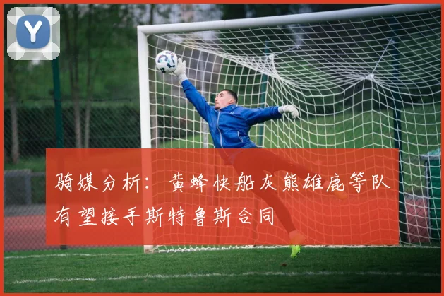 骑媒分析：黄蜂快船灰熊雄鹿等队有望接手斯特鲁斯合同